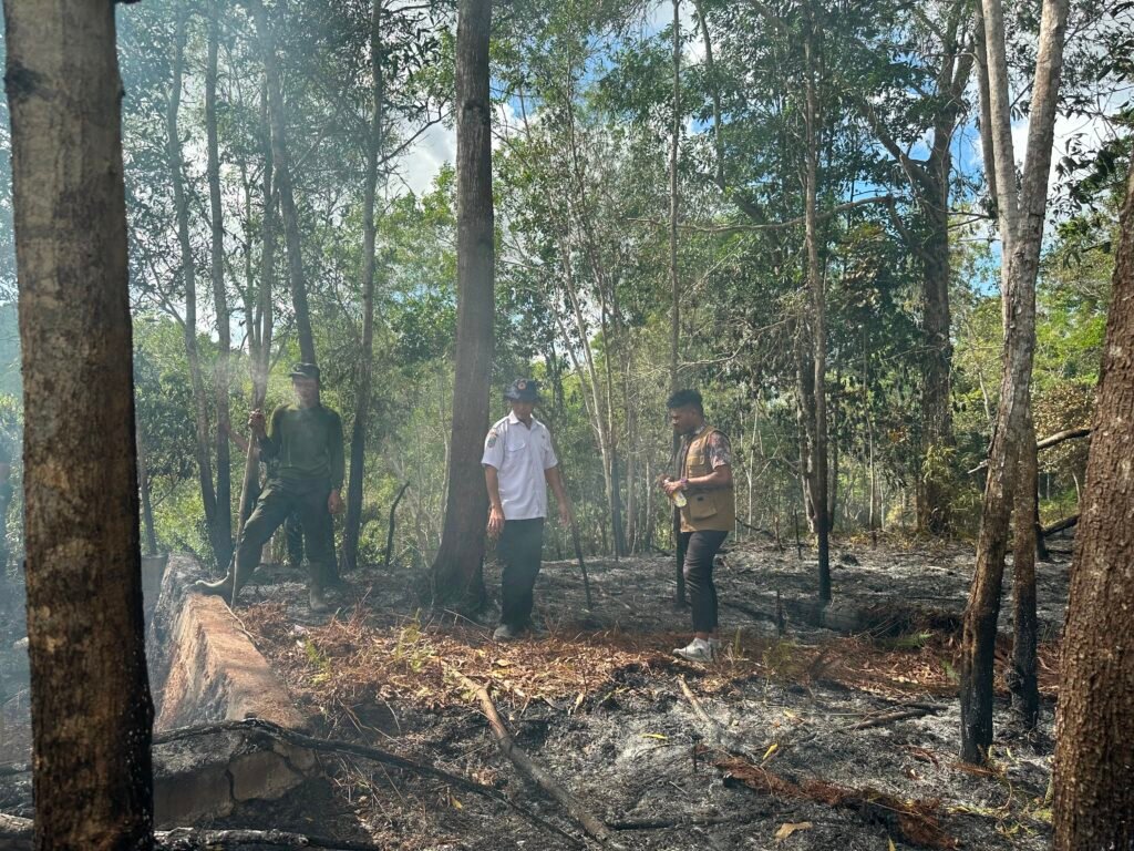 BPBD Temukan Titik Api, Karhutla Sorong Berpotensi Terulang 3 162125 1024x768 1