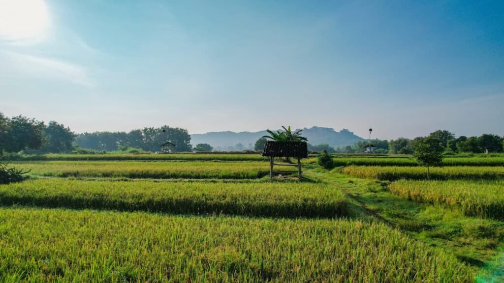 Sertipikat Tanah Ulayat Jadi Benteng Nagari, Ninik Mamak di Lima Puluh Kota Pernah Menangis Lawan Perusakan Hutan 4 30007 1024x576 1